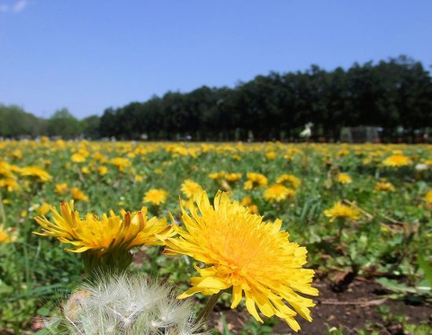 3092980b5c06fc525bb81c3f0d6b0a62