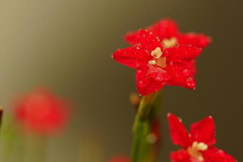 D076df80b67ff94d1059812fb5600e75