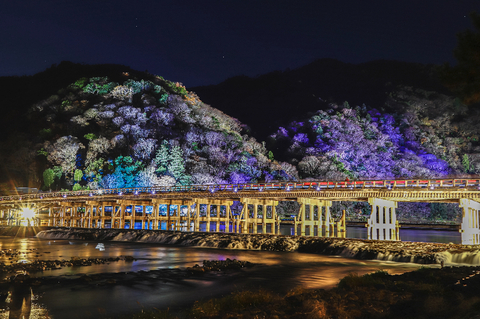 1b23550f18fc38d80ef8197c0fe94c23