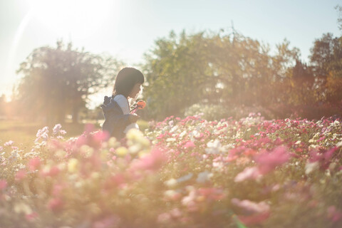 48c6419fa2a7ecb5807e49c9985d6690