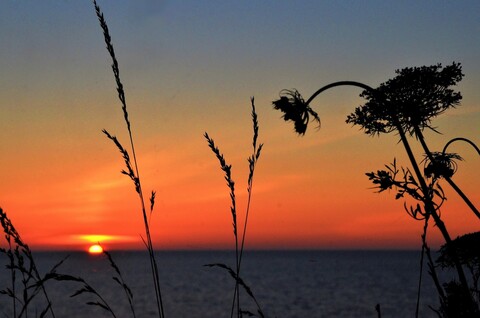 864e77a2dab354c840ad4ae441af5113