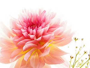 7d3e5f426b65fe53083b5ba763f84efa