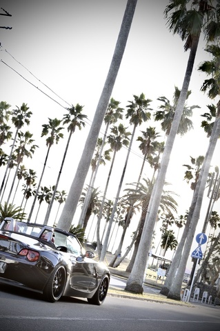 985b2b628af9bdafb2aec55b4e904353