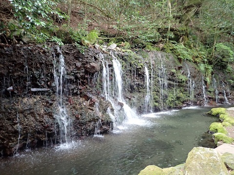 3545b216d849d952e1fd99de4677e247