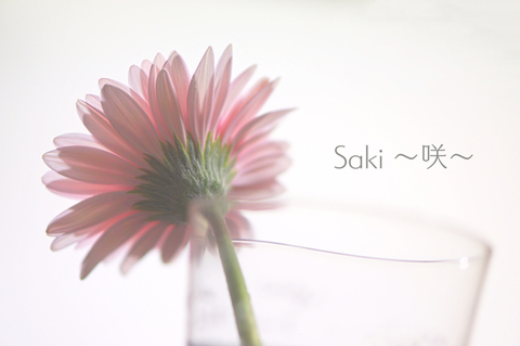 F083e0e683324122359e1b4d8b6bb6a2