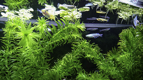 8f84dd620f5ecc469d29d8f930978c19