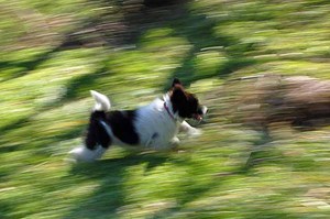 E1b54ea38322edbb158a43c799560a52