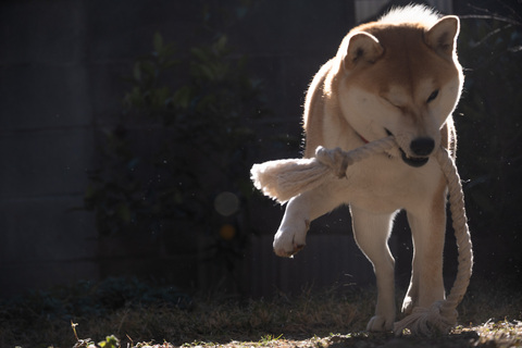 E4d10e4b22c5555294c7f4c7253af550