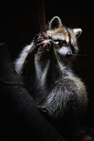 Fd8074b251ec7cd3c46cd3ac970290e7