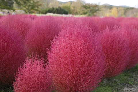 4067fee508d33dc0d9d9eec48874f4d8