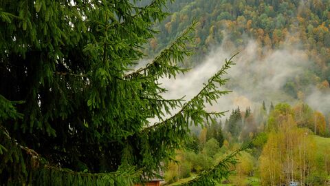 F33af31c7f6b45f31959f9786b27c952