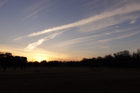 8ef7af132e6a25662910727c7041f0b1