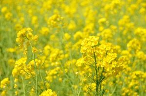 F9ff0635aa8914bfb011cdbd02bbf812