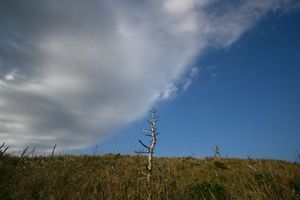 8daa526cb184e17e09c83c11e75999dc