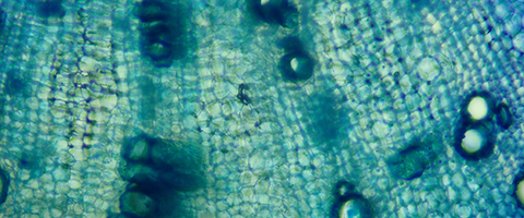 4e01a43c2c0bec83c095fc110633b888