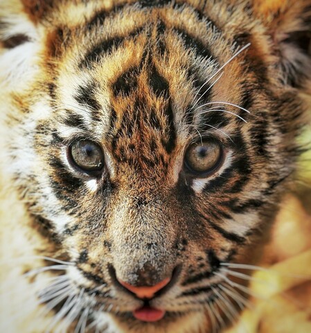 B4ce2d75eeef64c5b395a973fc69bee1