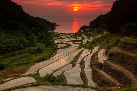 Bd2b975065eadb0161b76d6f36c29794