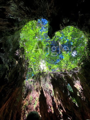 2f189104db764c644b1806f9f82b1c9e