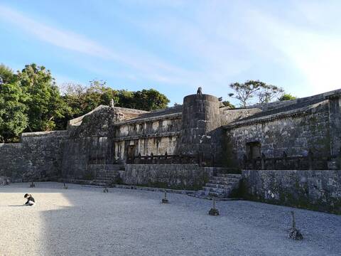 87b88a4c639e8ec1546c09c7d4f69267