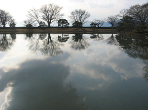 977f68920c0c0c4630e6d318bcee730a