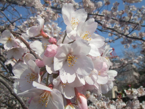 8a027fd83b4f451759ee28961f6a6b35