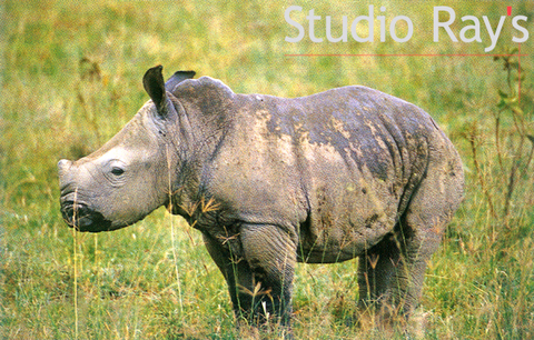 Eeda6e8da95646e08030c0a955ba6542