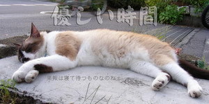 C24372bc597cd1694c61ca476d616c91