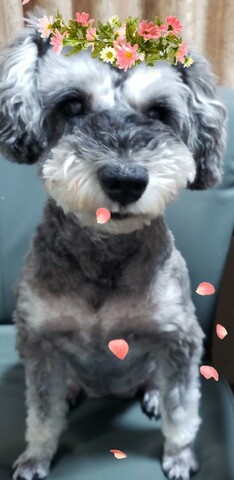 F11ad0a8ae9cce6f503471fab898c823