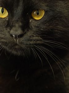 561aa221a16153283c59e704435e49e3