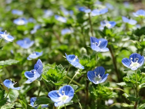 4a63f8e1d8112d7fb888347aec29bc80