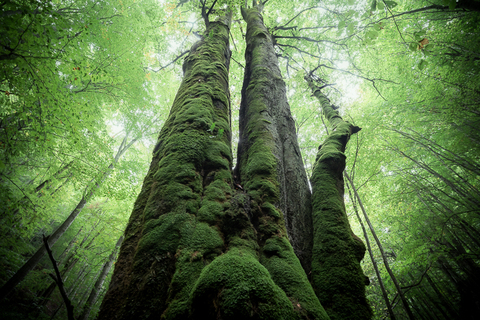 2c20a59d554905cb5597f309775db4c5