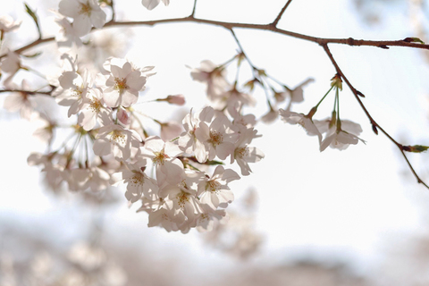 398e67a5cd40352059c529252ed52111