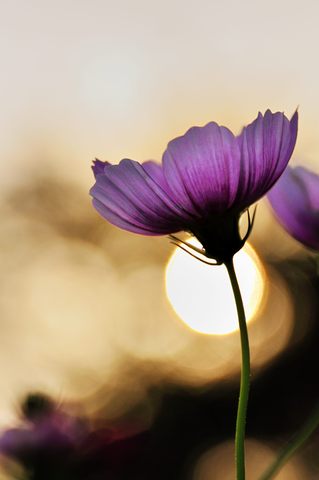 D447946205188822e1631b4a7d1a9ba3