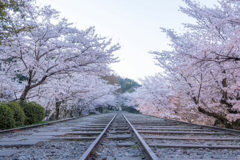 15fb4d5564f92c7265a575a6acb15f58