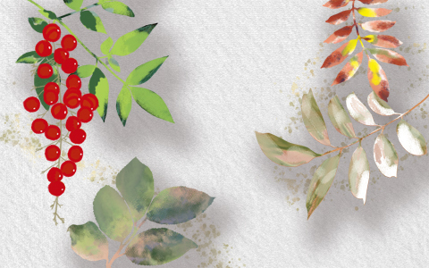 2c96c14783abbe92b0bf34d31c93047c