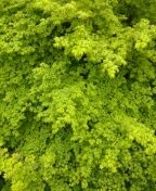 537dd0d03c90f671074070d37f5836a6