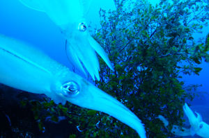 1796bcf74cdbacdf0c7147c517fcb45b