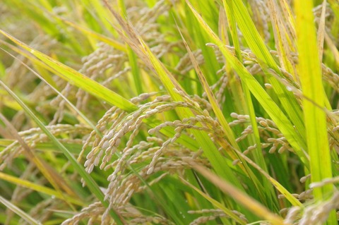 7b0c0df77ca656828acf1e1d3bcaee5c