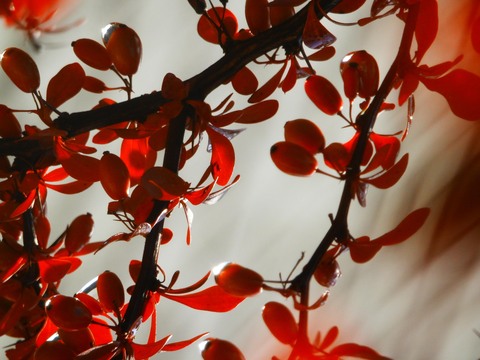 Af0158f94748ca052b21b4a68678dc80