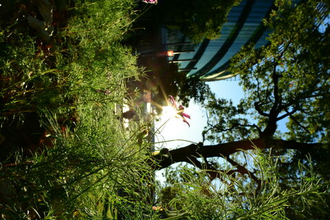 475ce81b7defcfee0134f8b43afdcc88