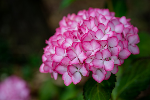 50a299fb4d1750d9aa103048091d3029