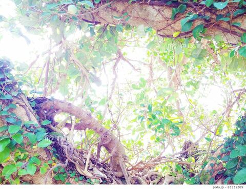 Ed58eea3b81ee6fd133ae49f18dbfab3