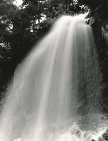 D864a9accab9ace3bbec97bfab6a03d5