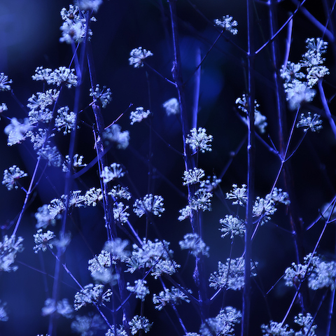 731e6018530ae6053bb57169208f7af8