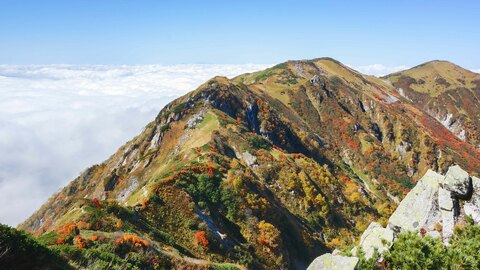 429e70cb5f938e377b0f1d3588cc7f1e