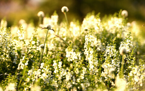 9c5940d4f8cf2c9fe382716a4dab94c3