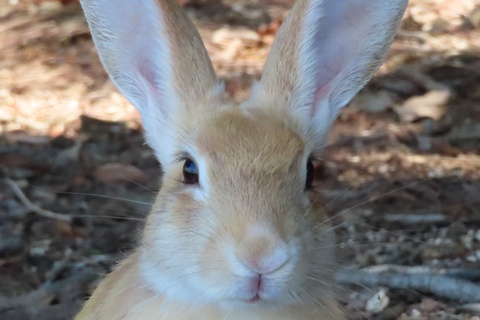 Eeabc8dc85efcf65140d797d026df2c5