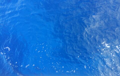 B2de2f57476e5414f19cf468025b3ead