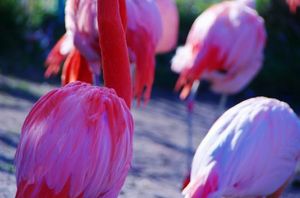 986840a5337e9e5af98919dea99e22f6