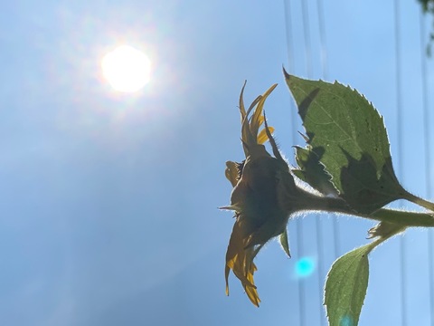 9182ef0b3a7459c1108b224947b61bc8